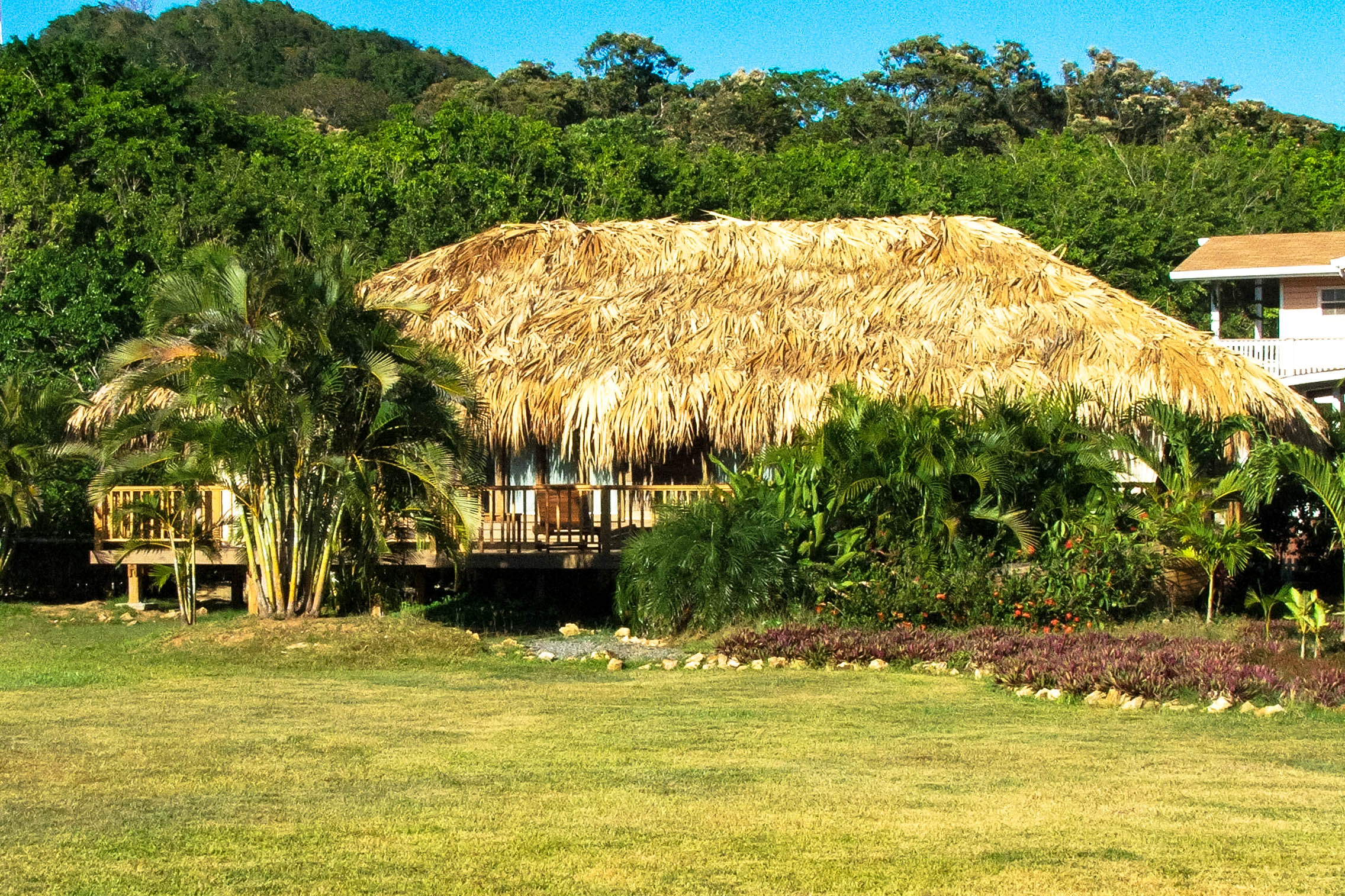 Suite Hanry Morgan, Honduras